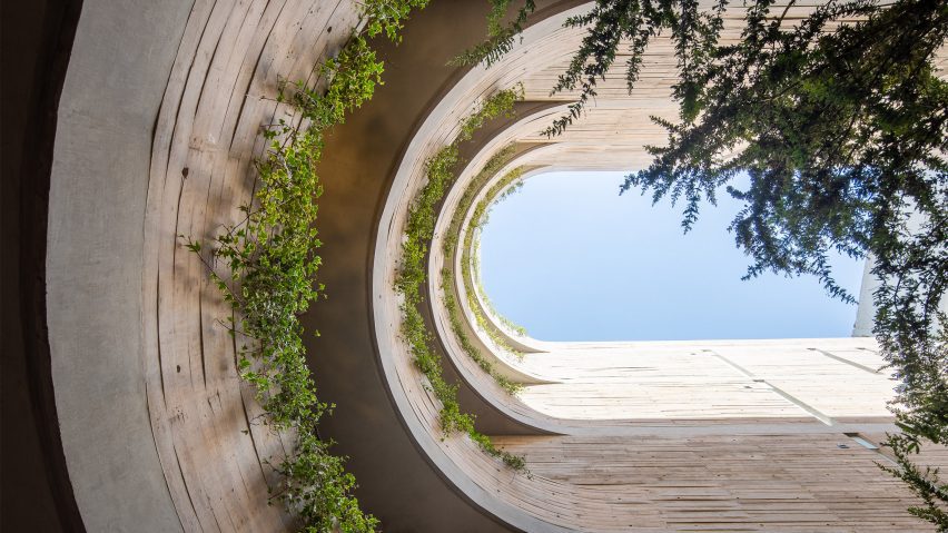 Board-formed concrete courtyard curved walls and planting