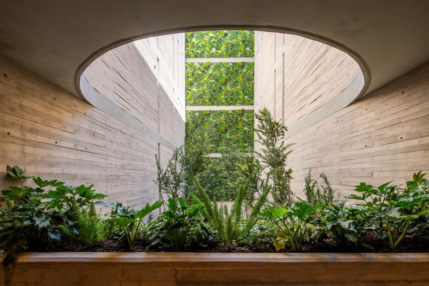 Patio de concreto en forma de tabla con plantas y techo recortado curvo