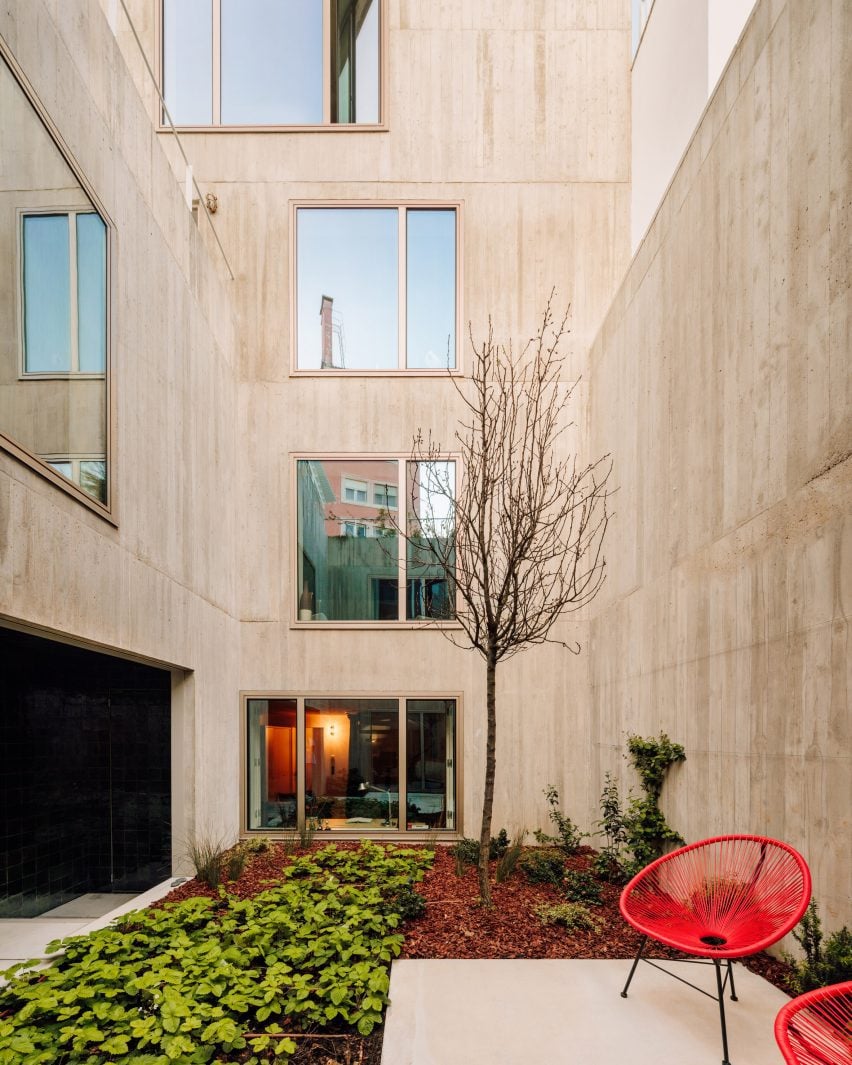 Patio in una casa di cemento con piantumazione di Bak Gordon Arquitectos