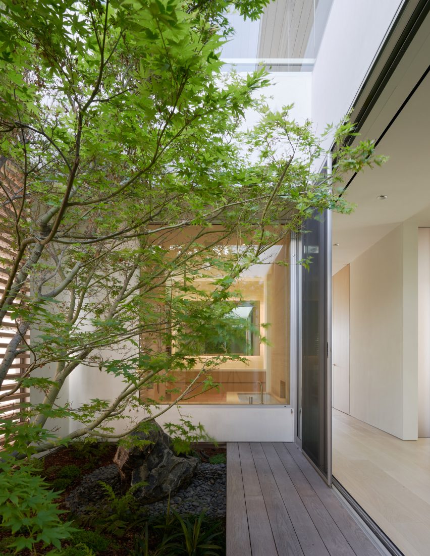 Двор с посаженным деревом в калифорнийском доме от Montalba Architects