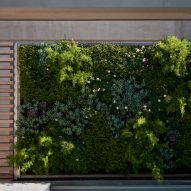 Green wall next to an outdoor swimming pool