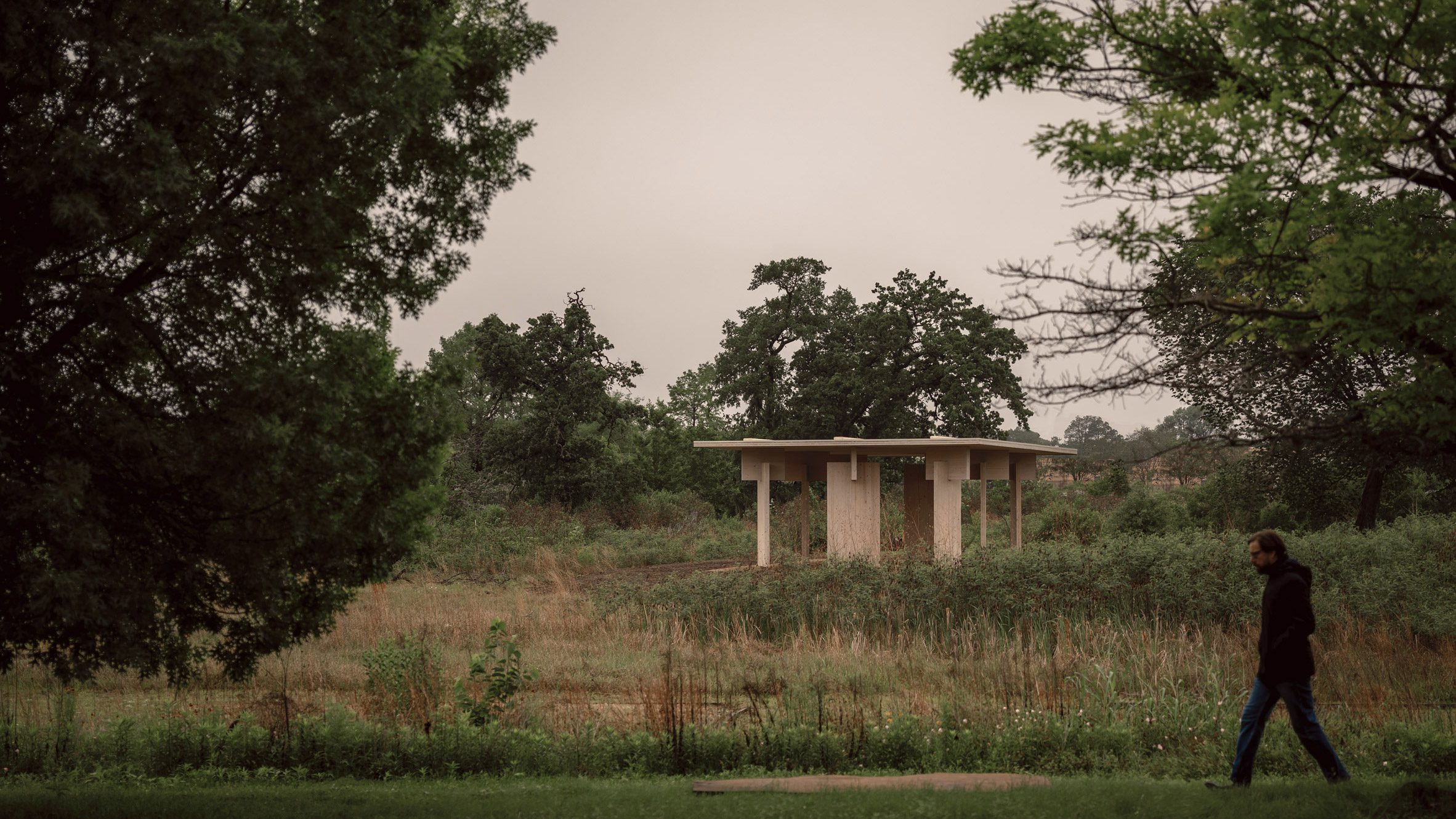 Jesús Vassallo creates mass-timber pavilion for bird watchers - Vimarsana News