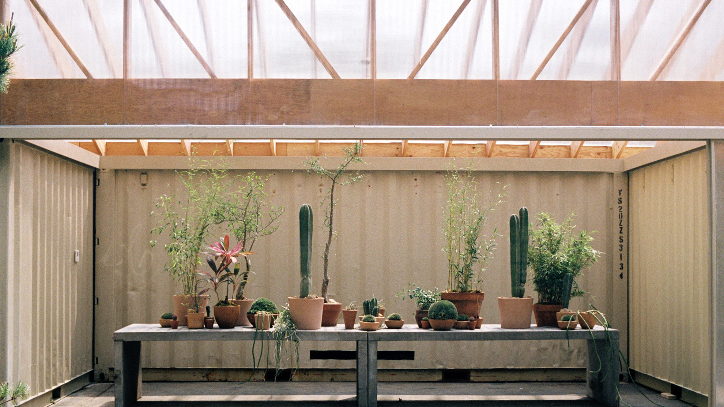 Mattaforma considers "plants as clients" for Public Records outdoor space - Vimarsana News
