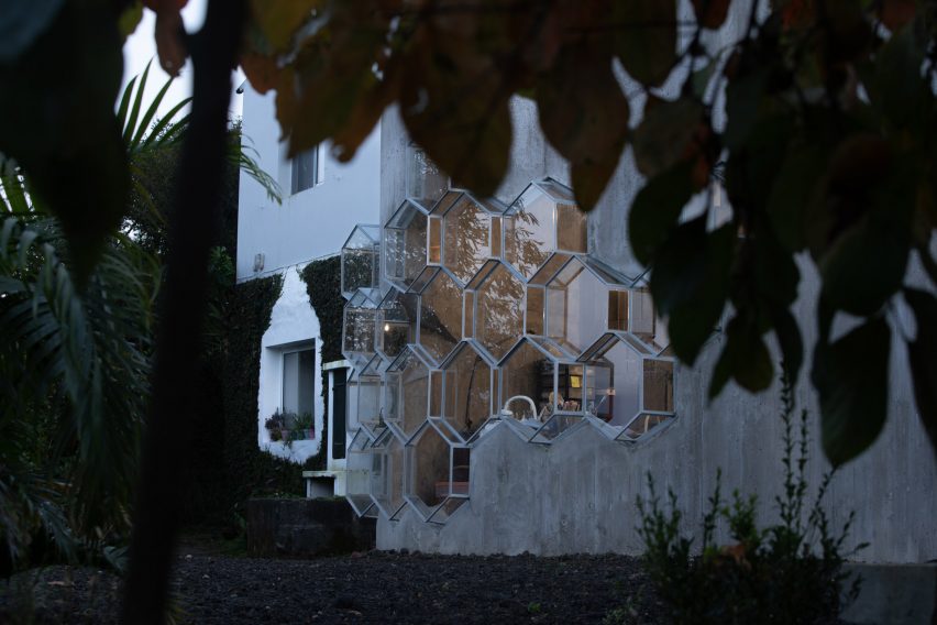 Hexagonal glazing of garden building by Bernardo Rodrigues Architecture