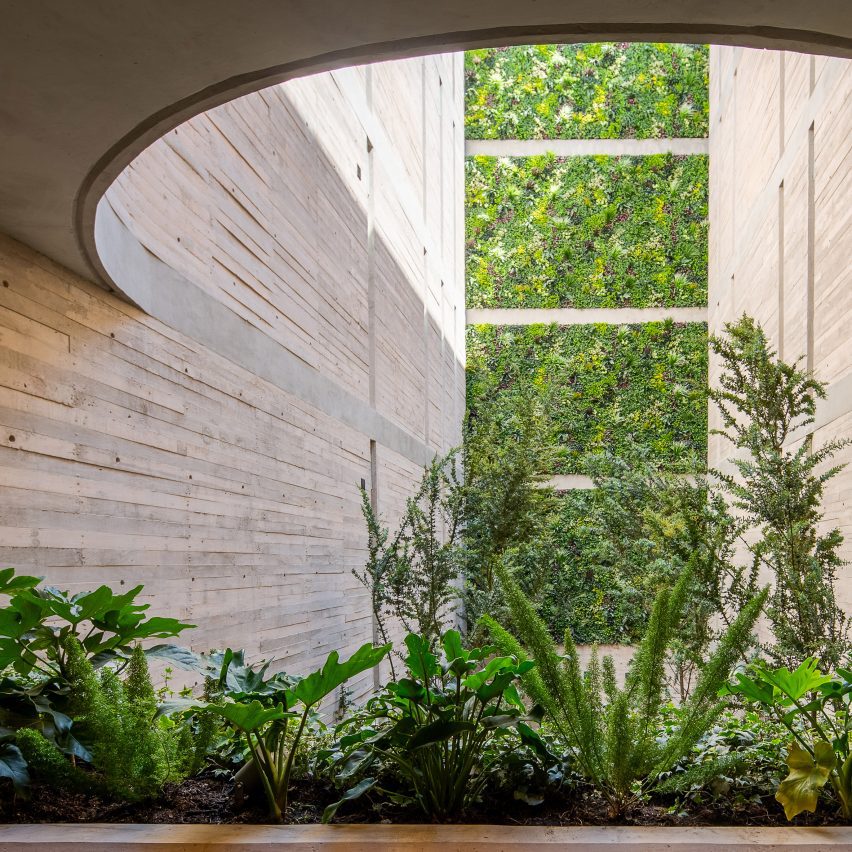 Board-formed concrete courtyard with planting and curved cut-out ceiling