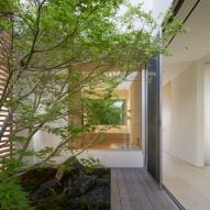 Courtyard with a planted tree in a Californian home by Montalba Architects