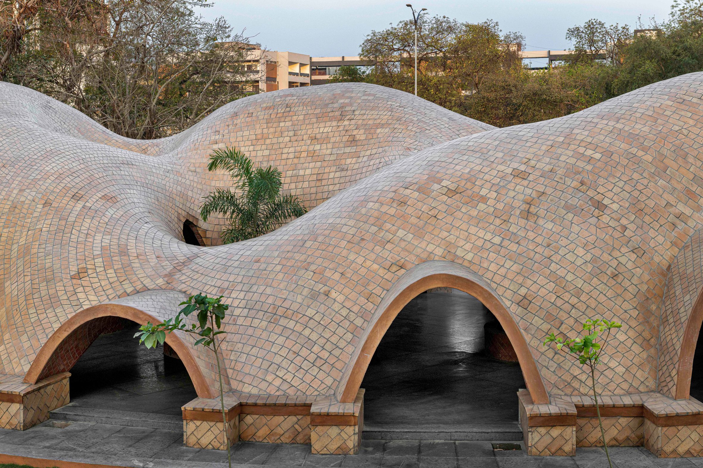 Vaulted building by The Grid Architects