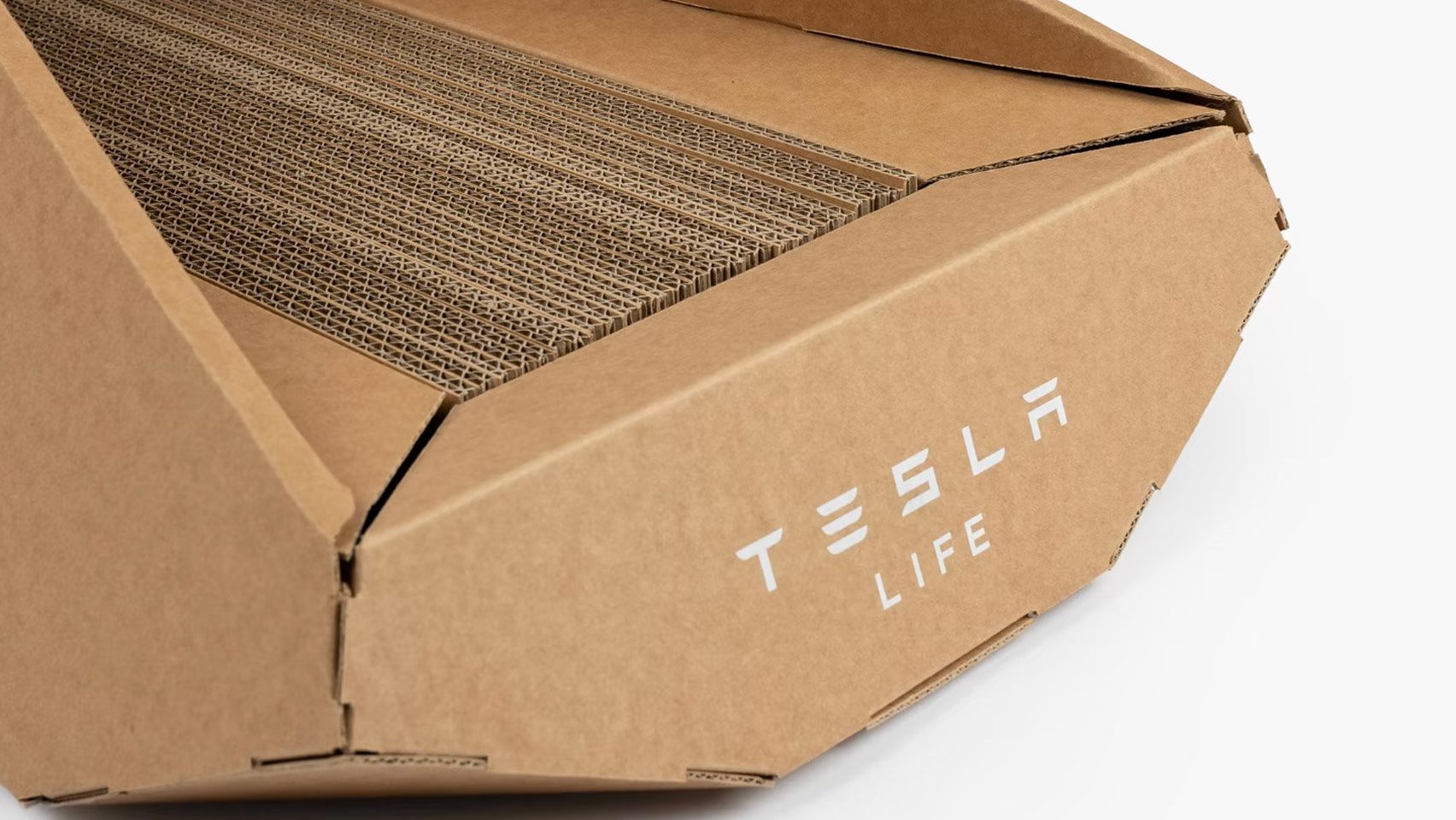 Dezeen Debate features "entry-level" Tesla cardboard cat house - Vimarsana News