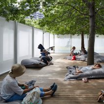 People relaxing under a number of trees