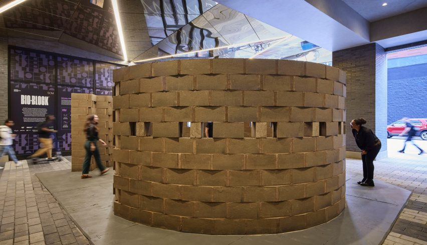 A large, circular installation of bio bricks