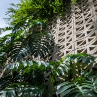 Grey perforated cement block facade covered in plants