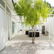 Outdoor courtyard with a tree and white diving curtains by Core Design Workshop