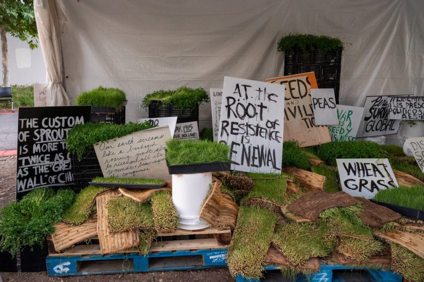 An installation featuring strips of grass and picket signs