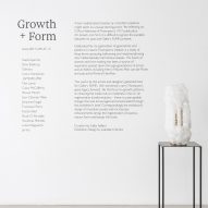 Growth and Form exhibition at Gallery Fumi