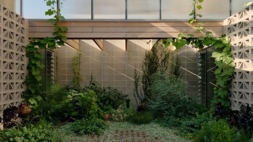 Garden courtyard surrounded by breeze block walls at the Sunday home by Architecture Architecture