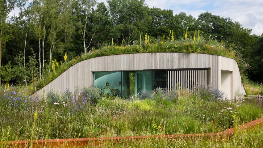 The House Under The Ground by WillemsenU with a grassy roof