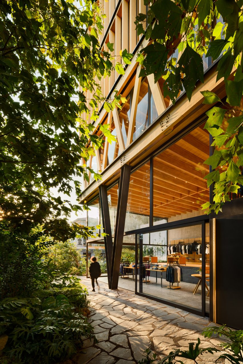 Ground entrance of glass clad timber building in Mexico