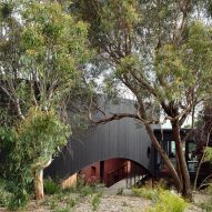 Charred timber exterior of Somers House by Kennedy Nolan surrounded by trees