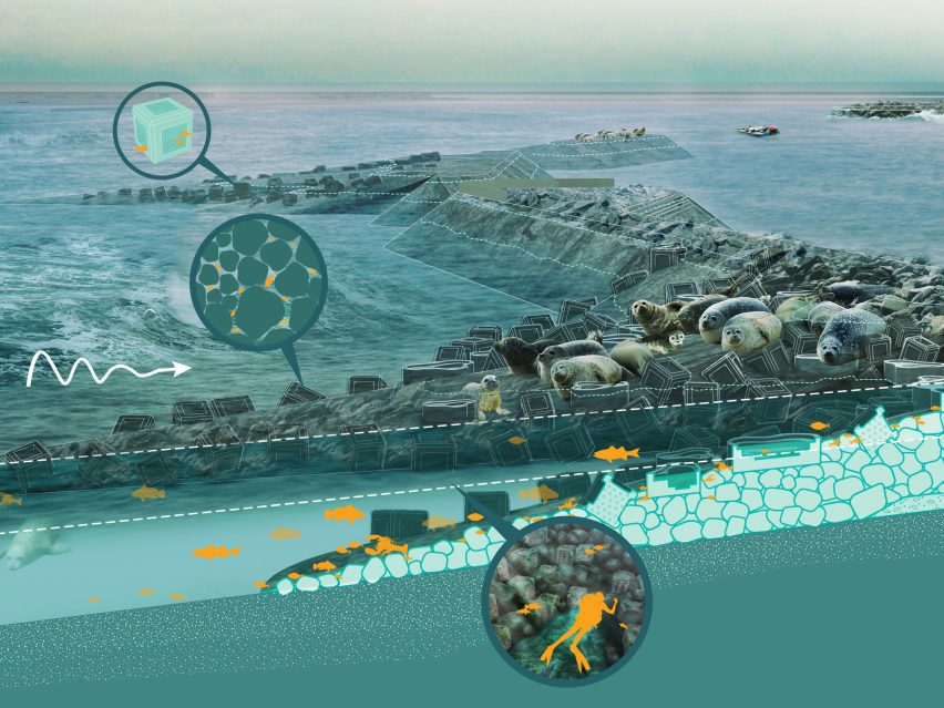Illustration of Living Breakwaters by Scape in New York City