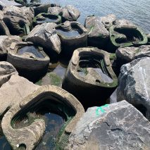 Living Breakwaters by Scape in New York City