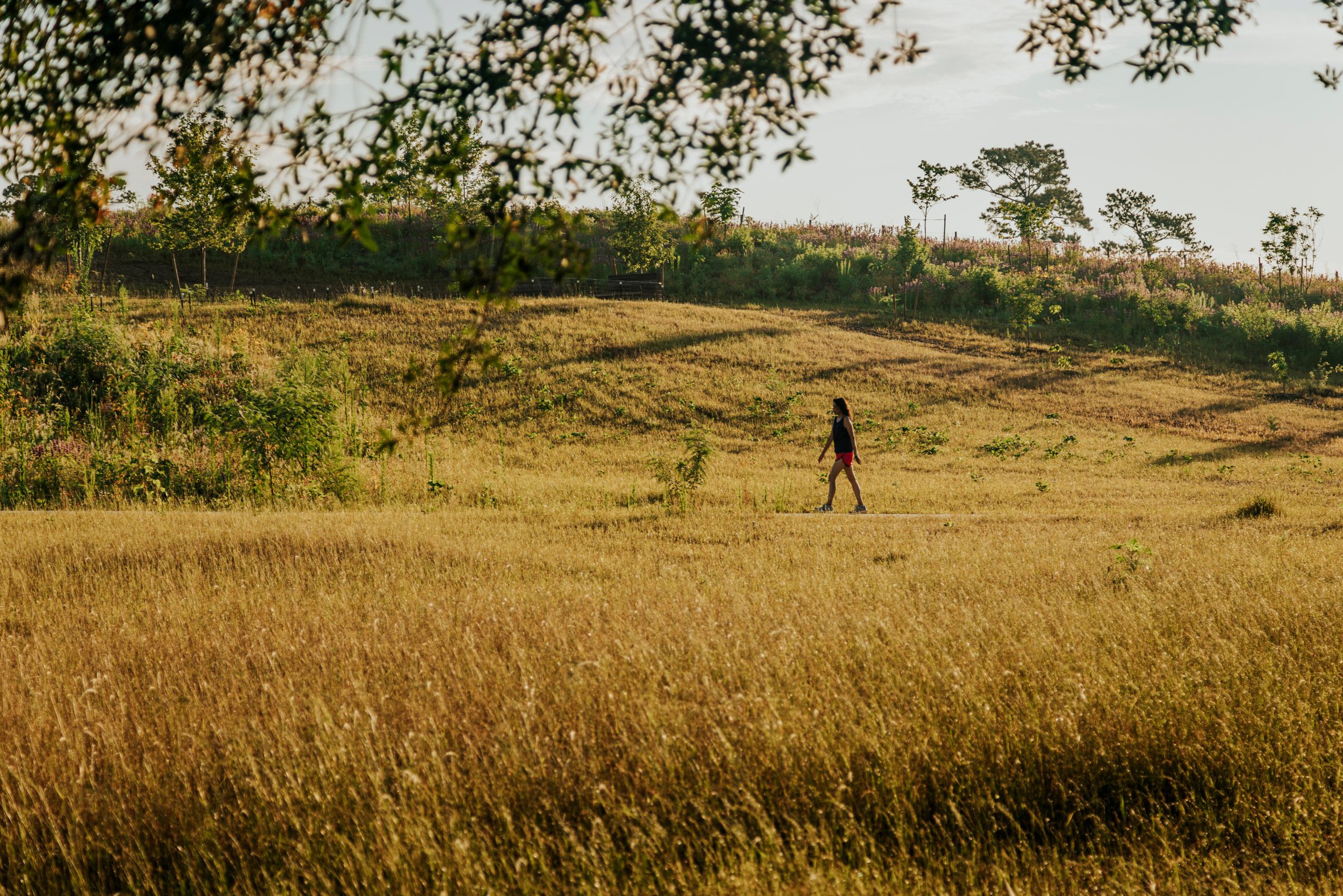 A person walking next to a hill in the evening