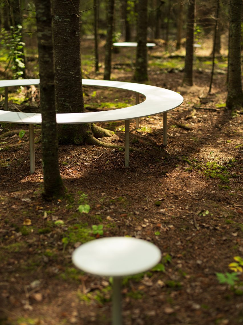 Circular elements standing in a forest