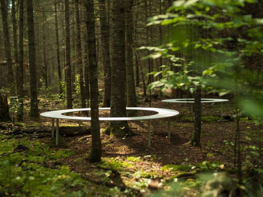 Metal benches in a forest