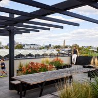 Rooftop terrace with seating and planting