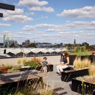 Rooftop terrace with seating and planting