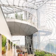 An elevated platform in a large greenhouse