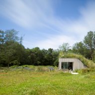 Grassy mound growing over The Under The Ground House by WillemsenU