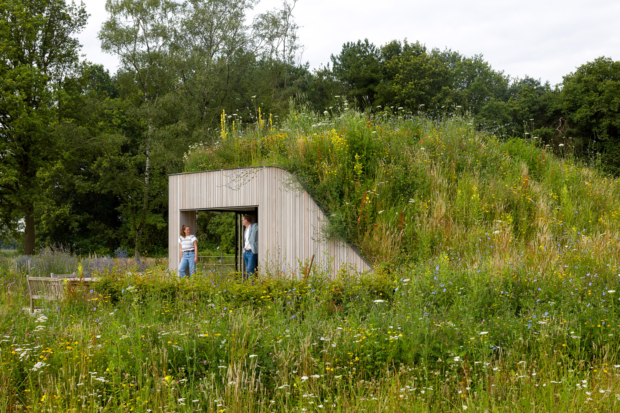 The House Under The Ground by WillemsenU with a grassy rooftop