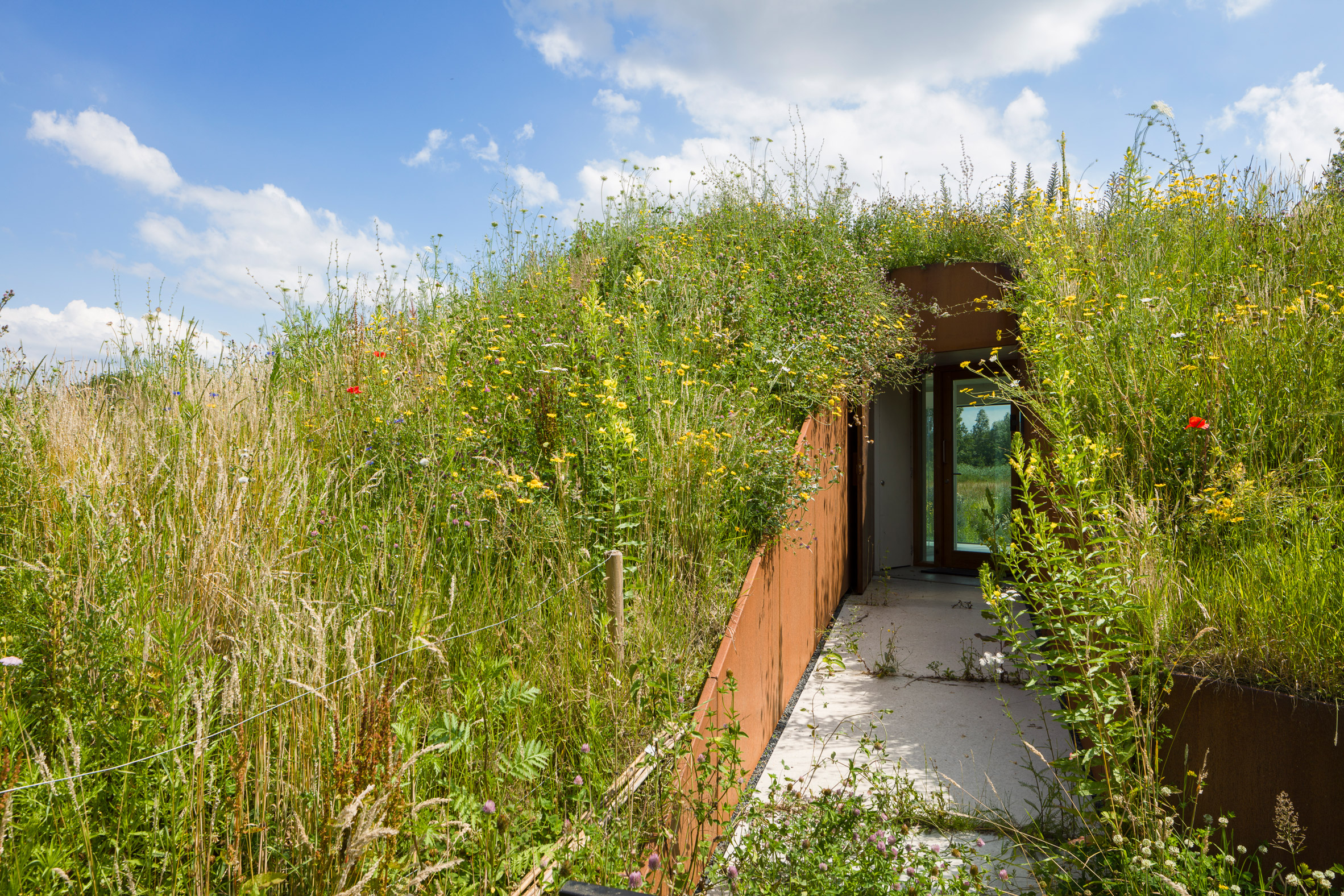 Entrance into a home through a grassy mound by WillemsenU