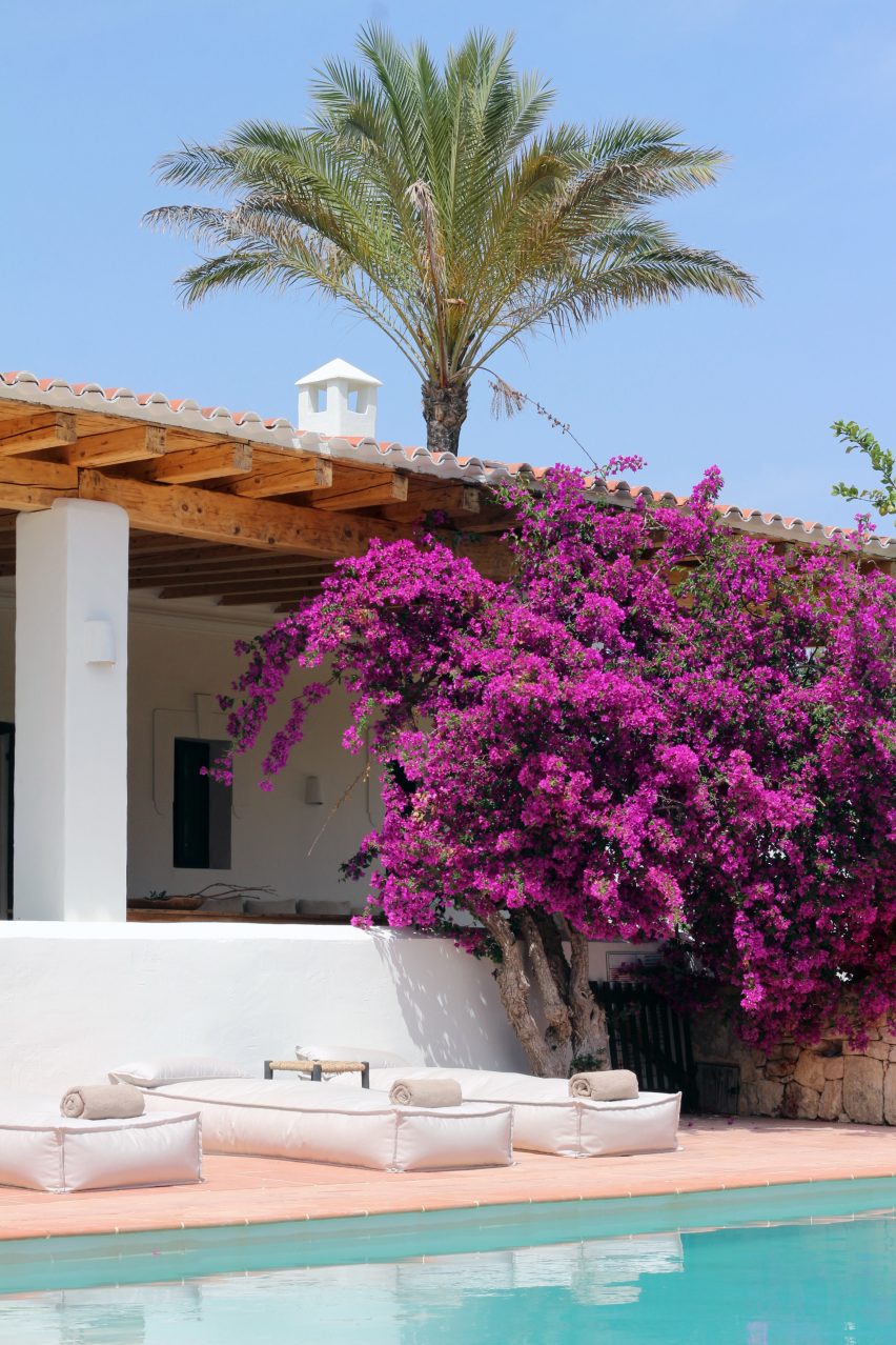 Renovated farmhouse with large bougainvillea tree in front, now the Aguamadera hotel in Ibiza