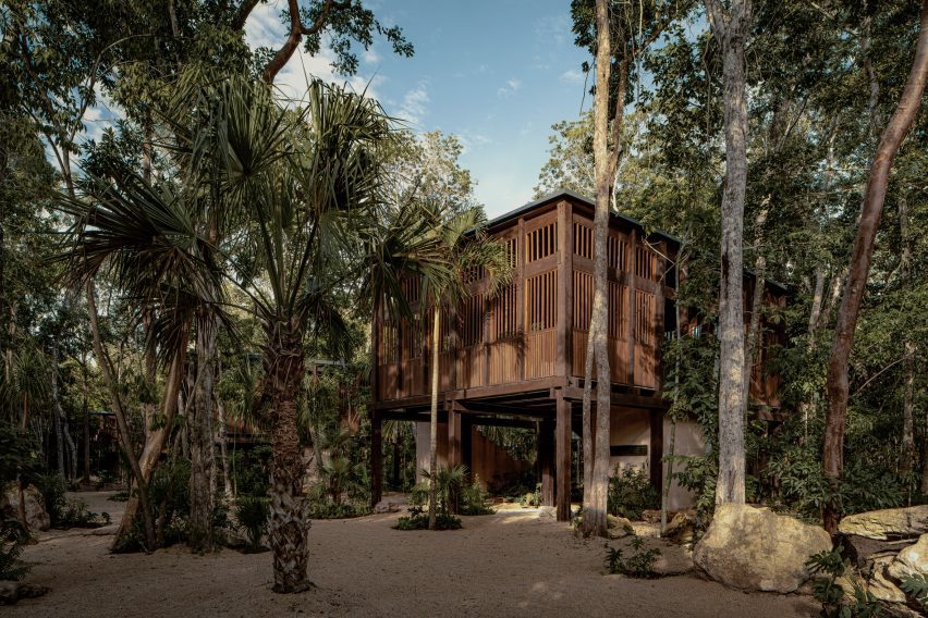 Un hotel casa de árbol de madera en México