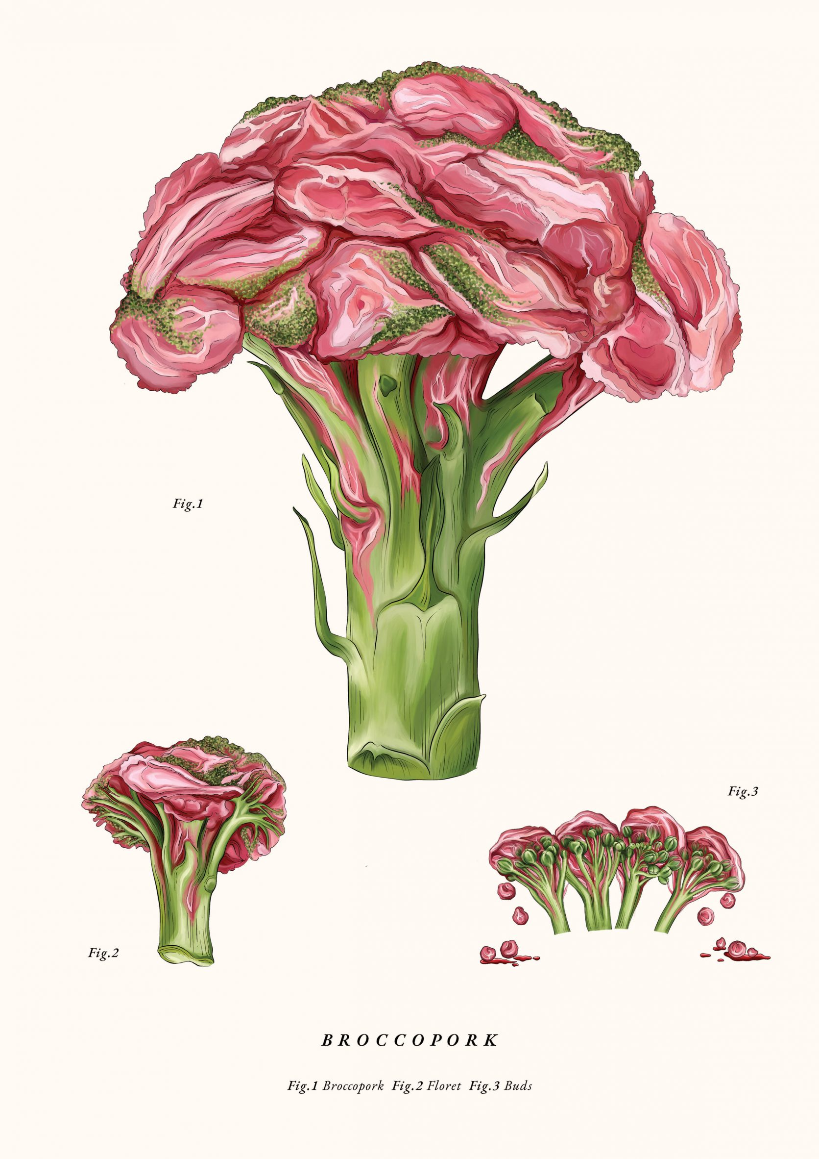 Broccopork illustration by Leyu Li