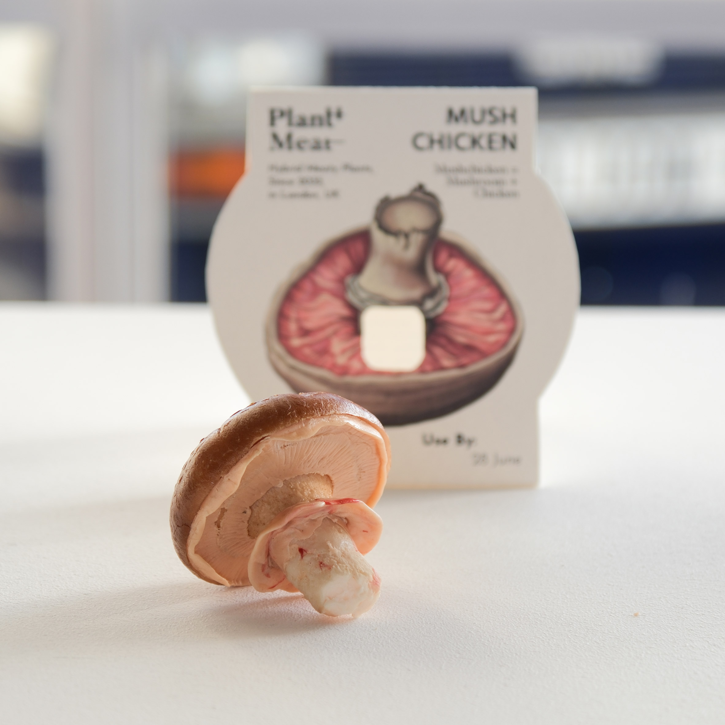 Models and packaging for Mushchicken