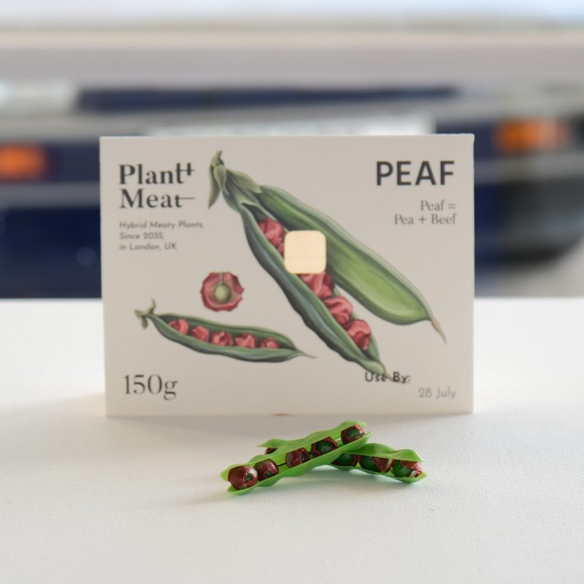 Models and packaging for Peaf by Leyu Li