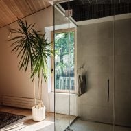A glass shower with a plant next to it