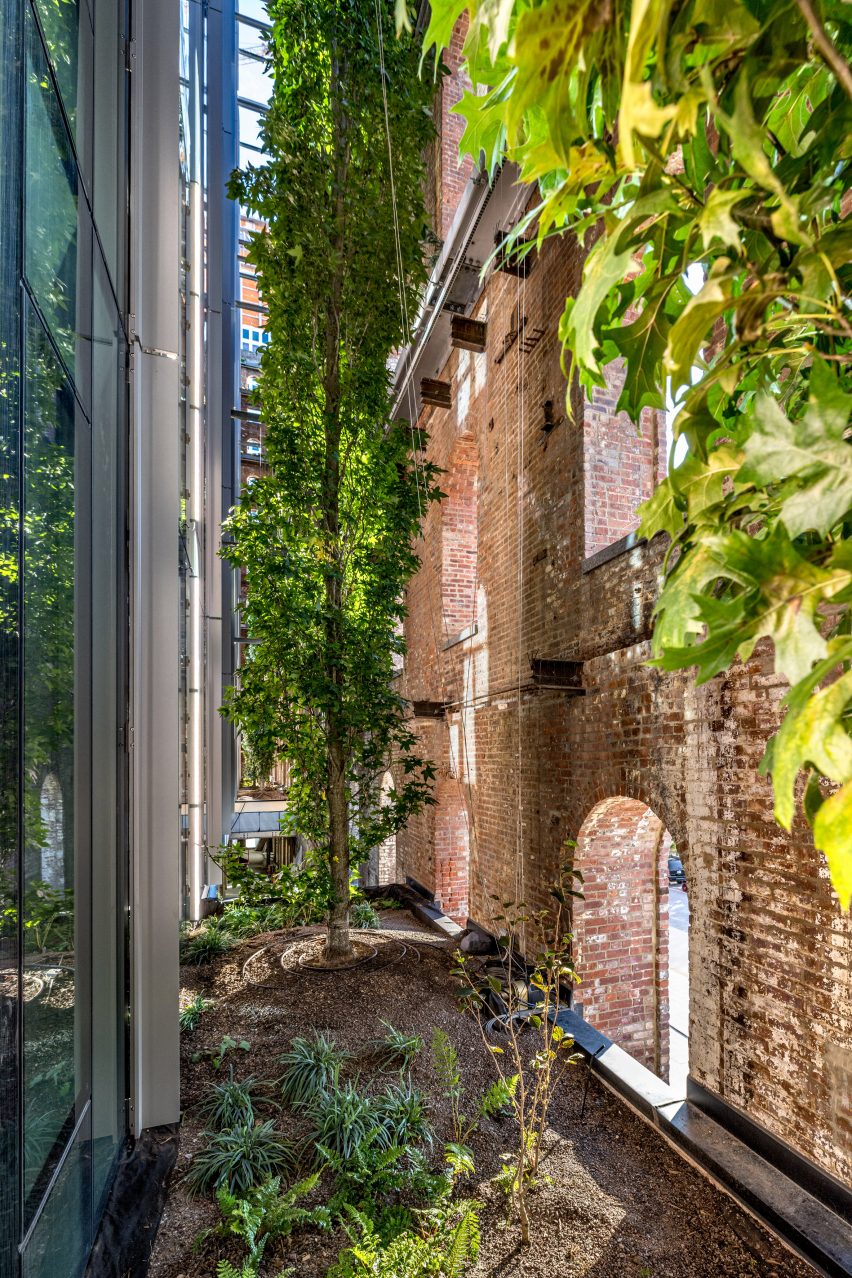 Trees in gap between brick and glass
