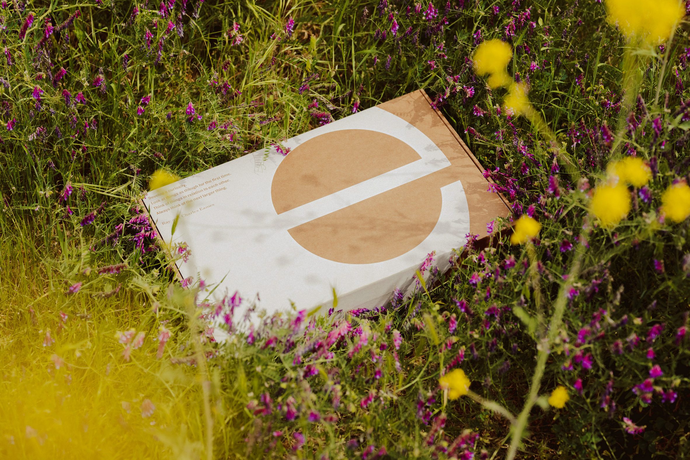 A branding kit in the grass with a large e