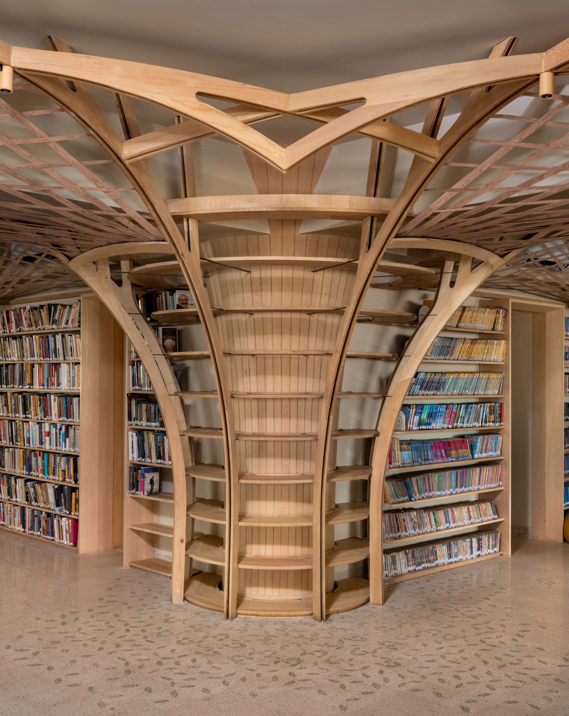 Wooden shelving in Forest of Knowledge