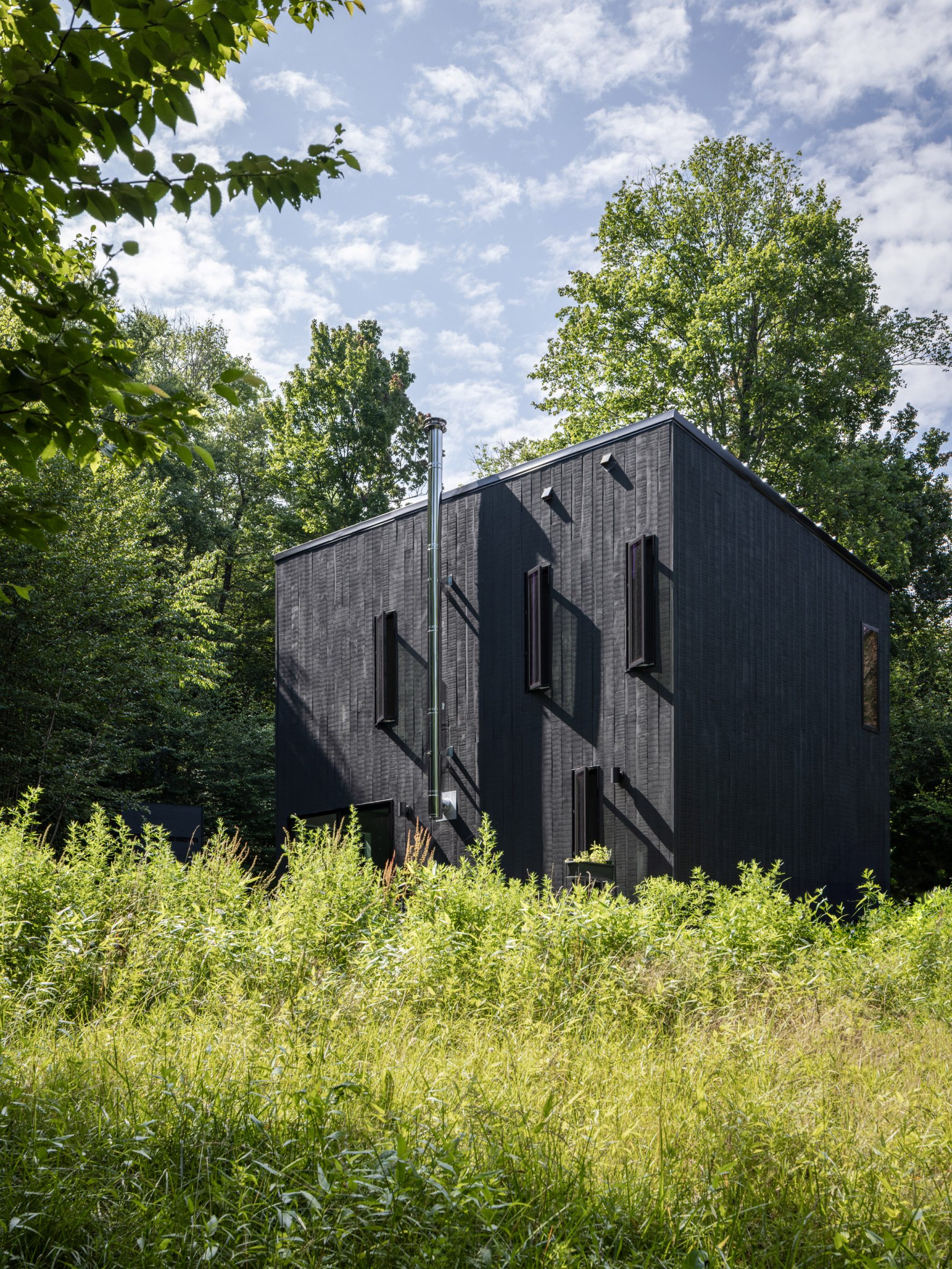 Black clad cabin in the Catskills