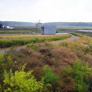 Field Operations converts restored Staten Island landfill into wetland park
