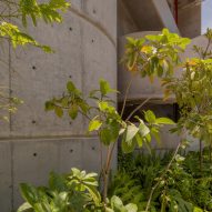 Concrete office building with plants