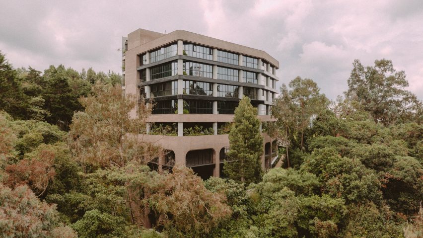 An office building emerging from the jungle