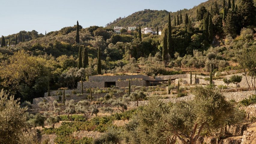K-studio stepped vineyard Greece