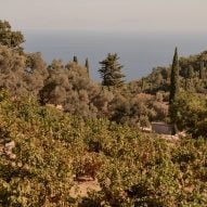 Hillside on a Greek island overlooking the sea