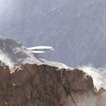 Zaha Hadid Architects designing sinuous lookout at Neom ski resort