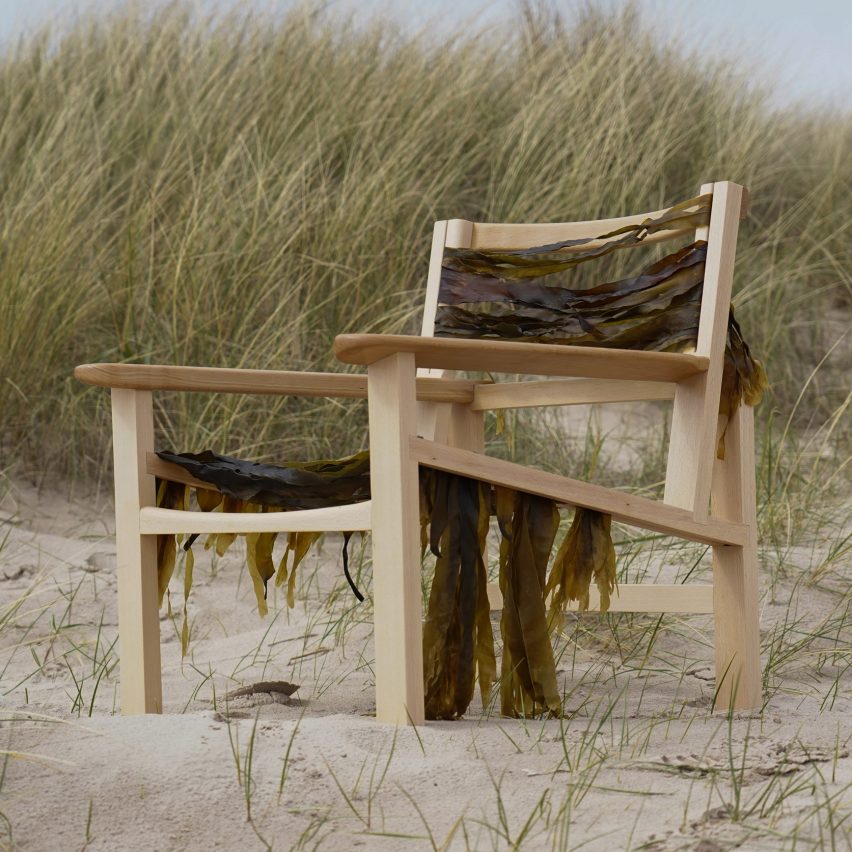 Wooden chair on sand dune draped in seaweed